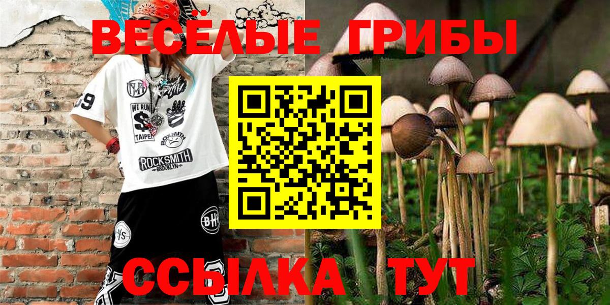 Псилоцибиновые грибы прущие грибы Прокопьевск